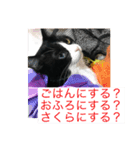 さくら姫の優雅な日々＊冬ver.（個別スタンプ：3）