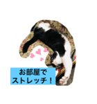 さくら姫の優雅な日々＊冬ver.（個別スタンプ：6）