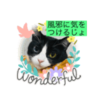 さくら姫の優雅な日々＊冬ver.（個別スタンプ：7）