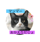 さくら姫の優雅な日々＊冬ver.（個別スタンプ：8）