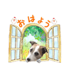 ラッシー可愛い❤️（個別スタンプ：8）