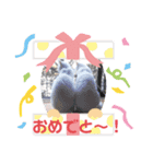 しろねこプー＆ピー（個別スタンプ：4）