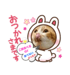 Pスタイル4（個別スタンプ：1）