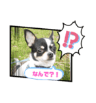 Pスタイル4（個別スタンプ：4）