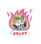 Pスタイル4（個別スタンプ：5）