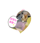 Pスタイル4（個別スタンプ：9）
