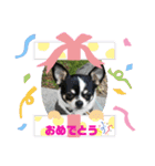 Pスタイル4（個別スタンプ：10）
