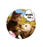 Pスタイル4（個別スタンプ：14）