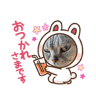 まいにちランコ3（個別スタンプ：5）