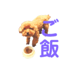 トイ・プードル（カール）1（個別スタンプ：18）
