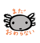 ウーパルーパーのまぼちゃん。（個別スタンプ：7）
