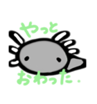 ウーパルーパーのまぼちゃん。（個別スタンプ：8）