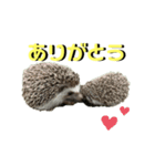 えふぉまる＆えふぉみすたんぷ☺︎（個別スタンプ：3）