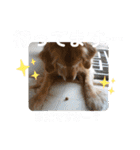 ◆みるくとろんさん◆（個別スタンプ：1）