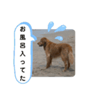 ◆みるくとろんさん◆（個別スタンプ：2）