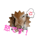 ◆みるくとろんさん◆（個別スタンプ：3）