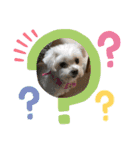 ◆みるくとろんさん◆（個別スタンプ：4）
