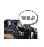AREX（個別スタンプ：7）