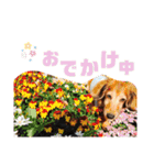 AREX（個別スタンプ：11）