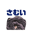 AREX（個別スタンプ：16）
