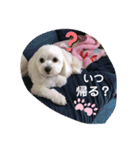 イヴとポムのスタンプ（個別スタンプ：7）