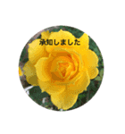 素敵なバラのスタンプ（個別スタンプ：2）