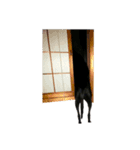 ネオさん2（個別スタンプ：3）
