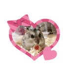 むぎとあんこ①（個別スタンプ：2）