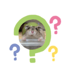 むぎとあんこ①（個別スタンプ：4）