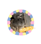 むぎとあんこ①（個別スタンプ：8）