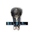 チーム如月一心（個別スタンプ：15）