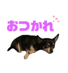 ゆちLv.2（個別スタンプ：3）