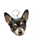 ゆちLv.2（個別スタンプ：5）