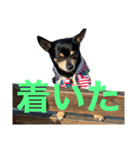 ゆちLv.2（個別スタンプ：8）