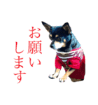 ゆちLv.2（個別スタンプ：11）