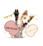 nico＆friends①（個別スタンプ：10）