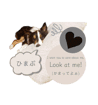 nico＆friends①（個別スタンプ：12）