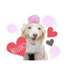 nico＆friends①（個別スタンプ：19）