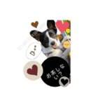 nico＆friends①（個別スタンプ：35）