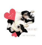 nico＆friends①（個別スタンプ：38）