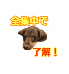 れもん時々、空（個別スタンプ：1）
