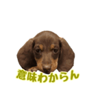 れもん時々、空（個別スタンプ：2）