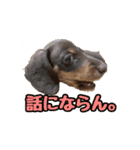 れもん時々、空（個別スタンプ：3）