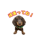 れもん時々、空（個別スタンプ：6）