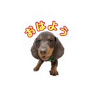 れもん時々、空（個別スタンプ：7）