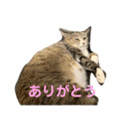 ちびみや1（個別スタンプ：7）