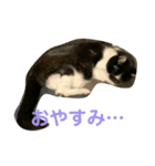 ちびみや1（個別スタンプ：8）