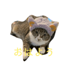 ちびみや1（個別スタンプ：9）