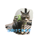 ちびみや1（個別スタンプ：10）