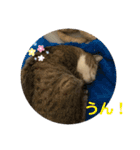 ちびみやパート6（個別スタンプ：2）